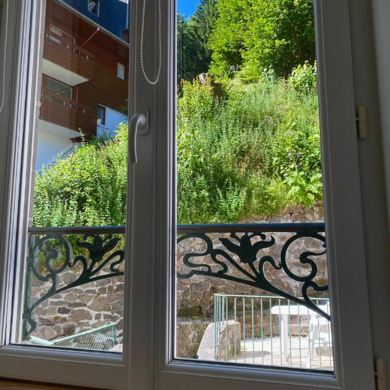 Appartement T2 Les Capucines avec balcon et wifi proche de l'hyper centre Mont Dore - Two-Bedroom Apartment - 12