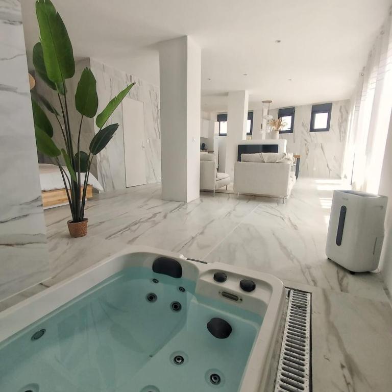 Le Spa du Bedat - Chalet 1 Chambre - 5