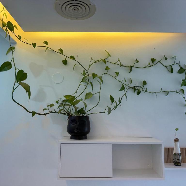 Salmedina - Apartamento de 1 dormitorio con vistas al jardín - 20