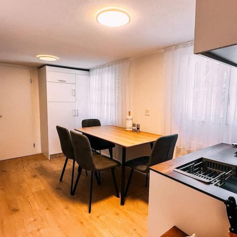 Lakeside Olti Apartment near Interlaken - Apartment - 9