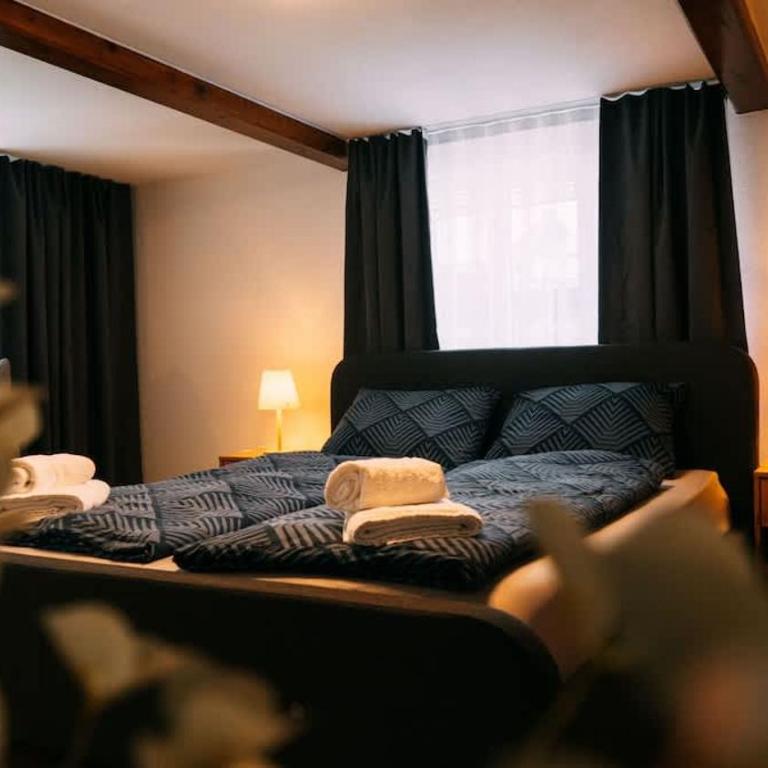 Lakeside Olti Apartment near Interlaken - Apartment - 14