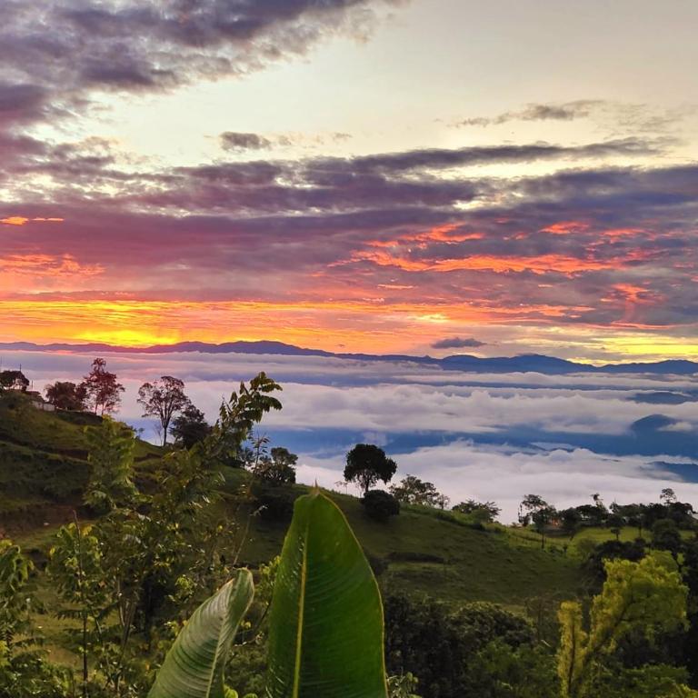 Mi Paraiso Escondido, Tamesis - One-Bedroom Apartment - 33