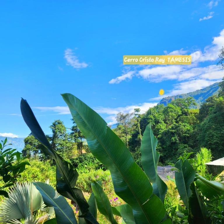 Mi Paraiso Escondido, Tamesis - Apartamento de 1 dormitorio - 34