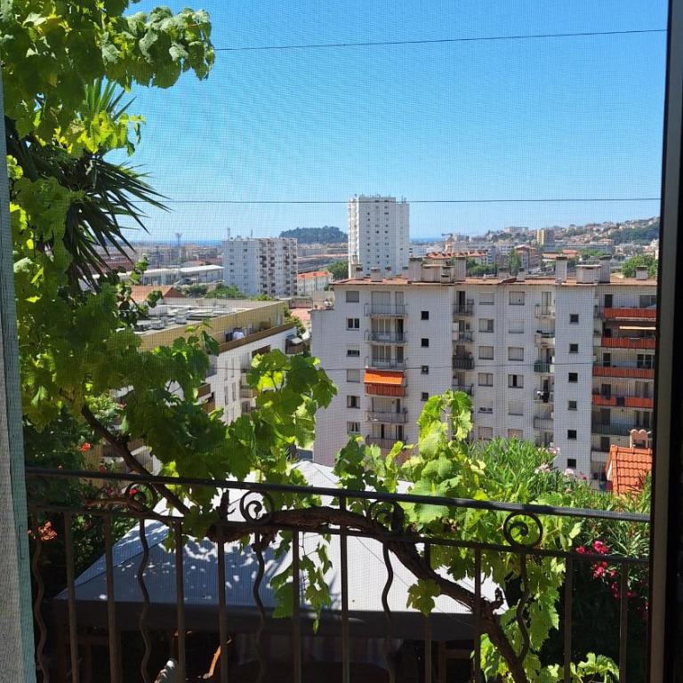 Villa in Nice French Riviera - Villa 2 Chambres - 47