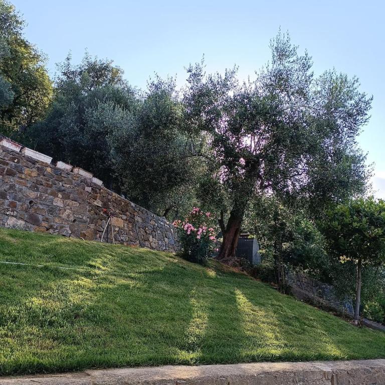 Almarea, a house between the sea and olive trees - Appartamento con 1 Camera da Letto - 29