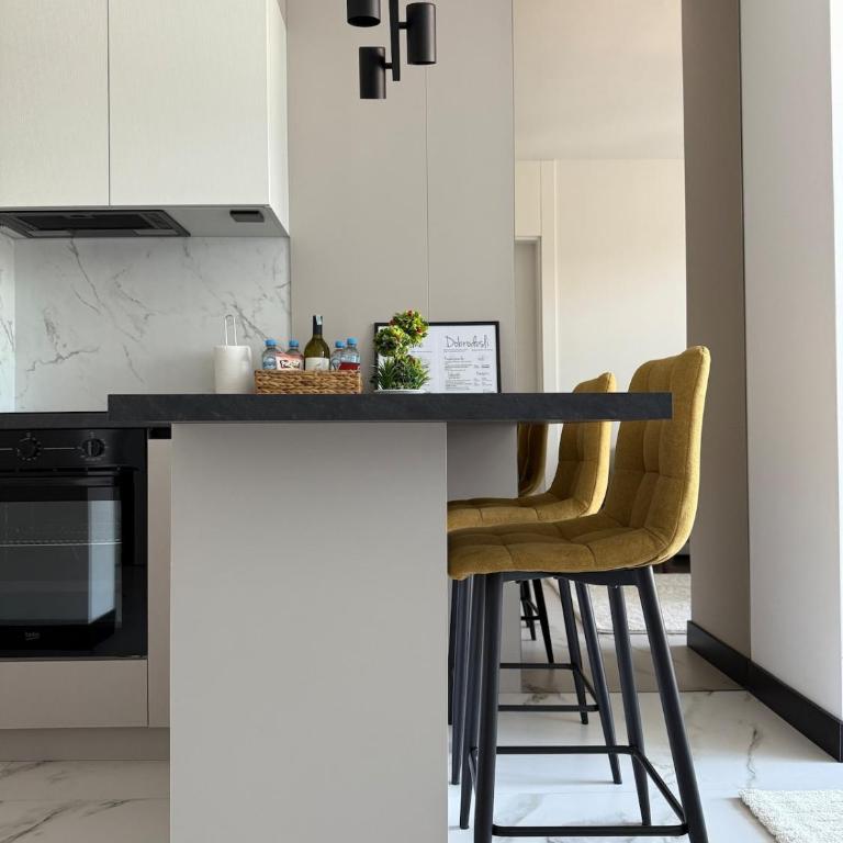 Avenija Penthouse Luxury Loft Terrace FreeParking - Apartman sa 1 Spavaćom Sobom - 13