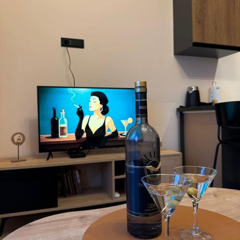 Victory Apartments - Apartman sa 1 Spavaćom Sobom - 16