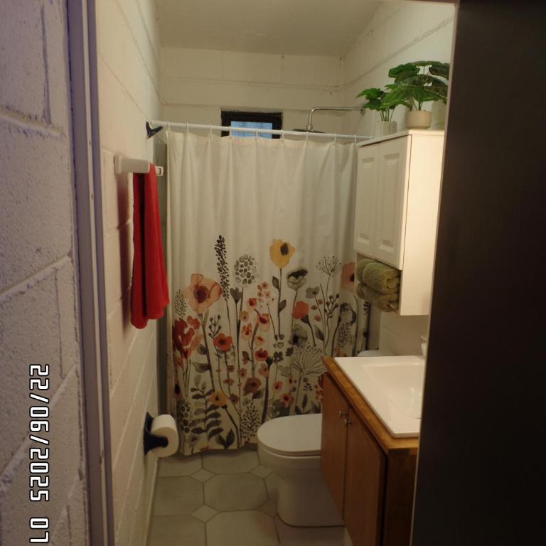 Casita El Zacatal - One-Bedroom House - 17