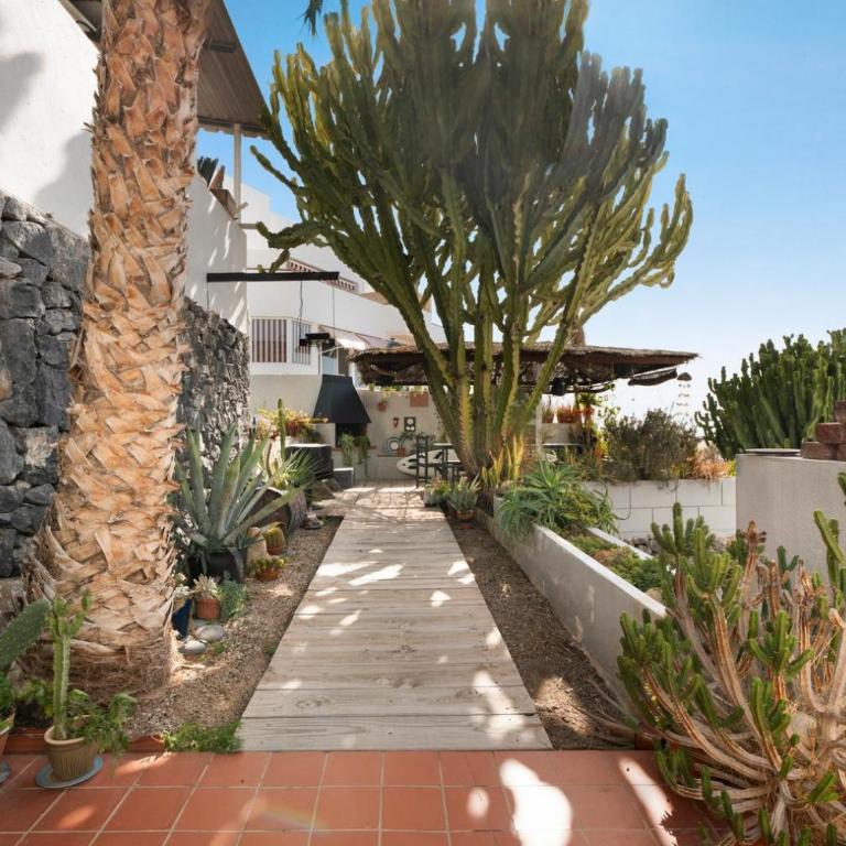 pardelo - Apartamento de 1 dormitorio - 17