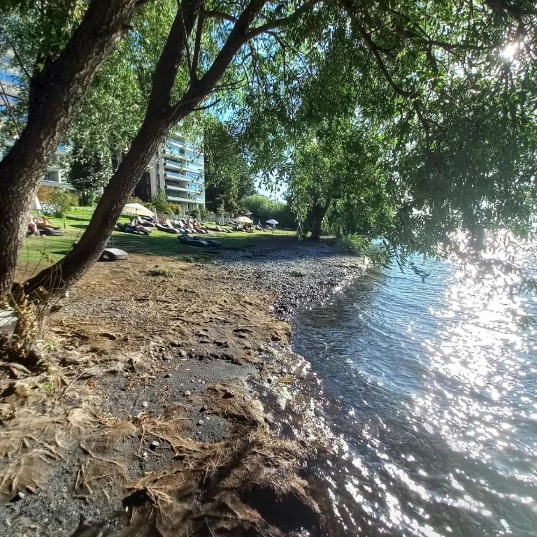 First floor, lake access 2D 2B Parque Pinares - Two-Bedroom Apartment - 2