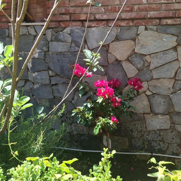 Sicily Holidays Luxury Villa - Villa - 31