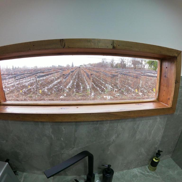 Andinas de Uco Lodge - Villa - 11