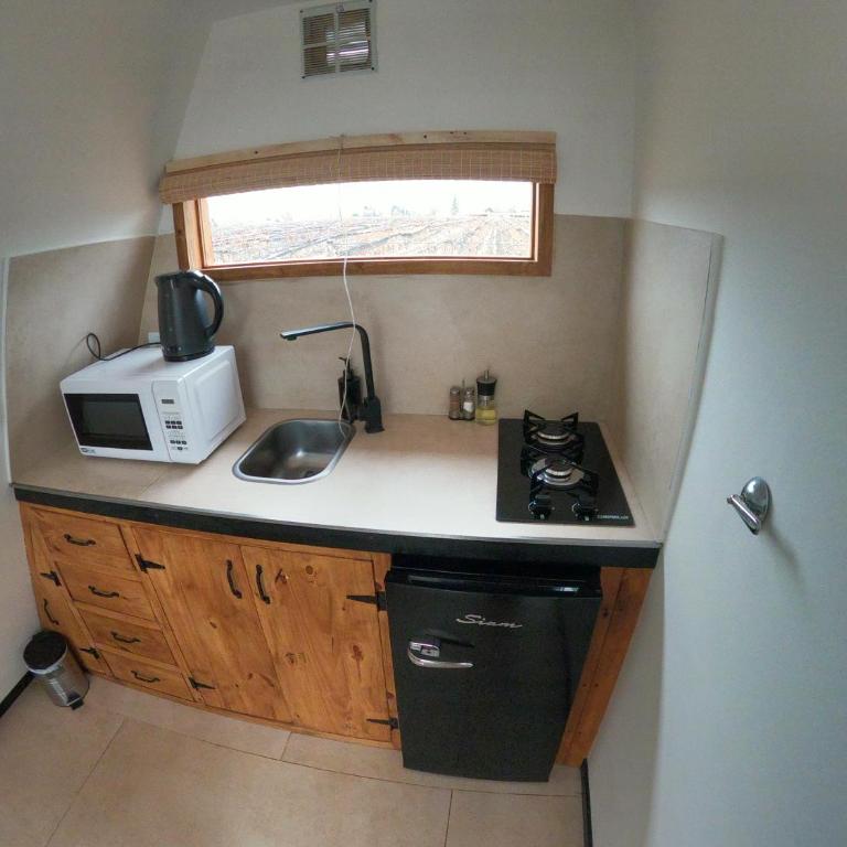Andinas de Uco Lodge - Villa de 1 dormitorio - 21