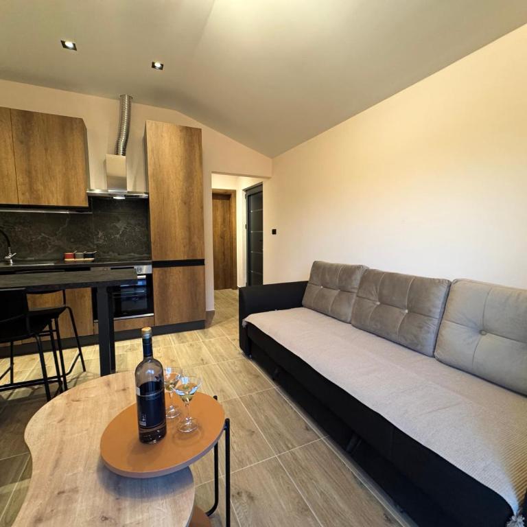 Victory Apartments - Apartman sa 1 Spavaćom Sobom - 9