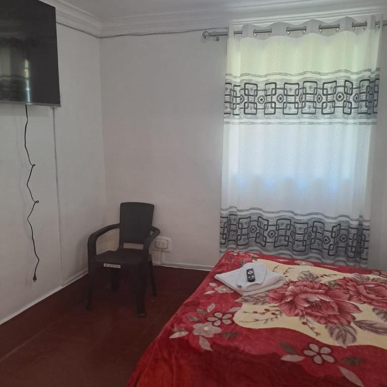 Casa Jardin - One-Bedroom Apartment - 6