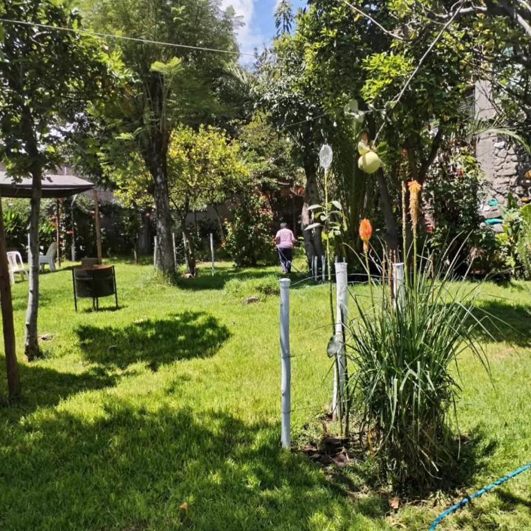 Casa Jardin - One-Bedroom Apartment - 14