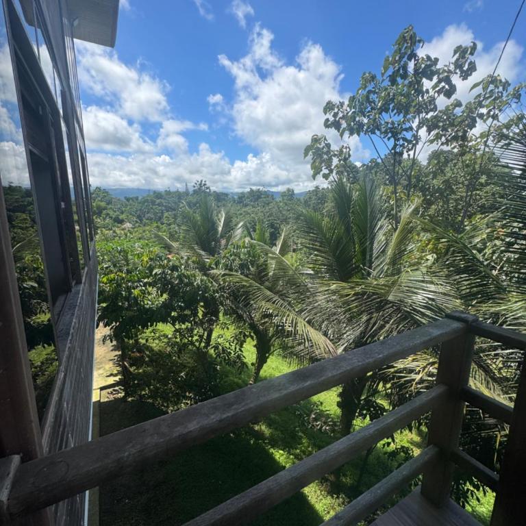 Quinta San Carlos - Casa de 2 dormitorios - 2