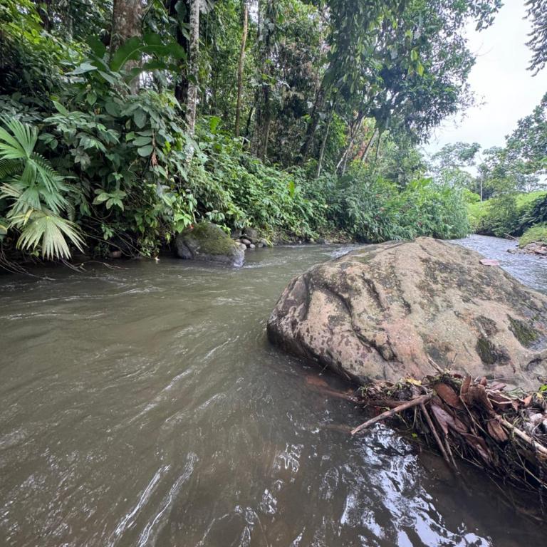 Quinta San Carlos - Casa de 2 dormitorios - 3