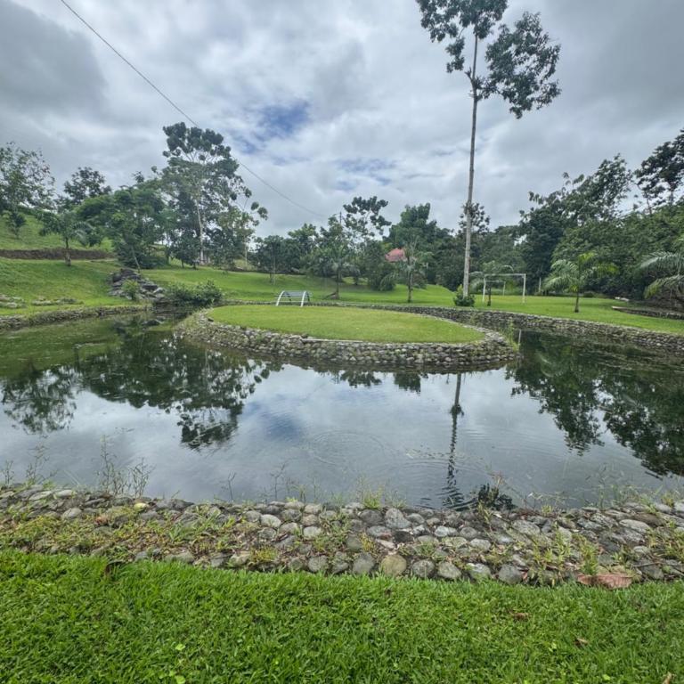 Quinta San Carlos - Casa de 2 dormitorios - 9