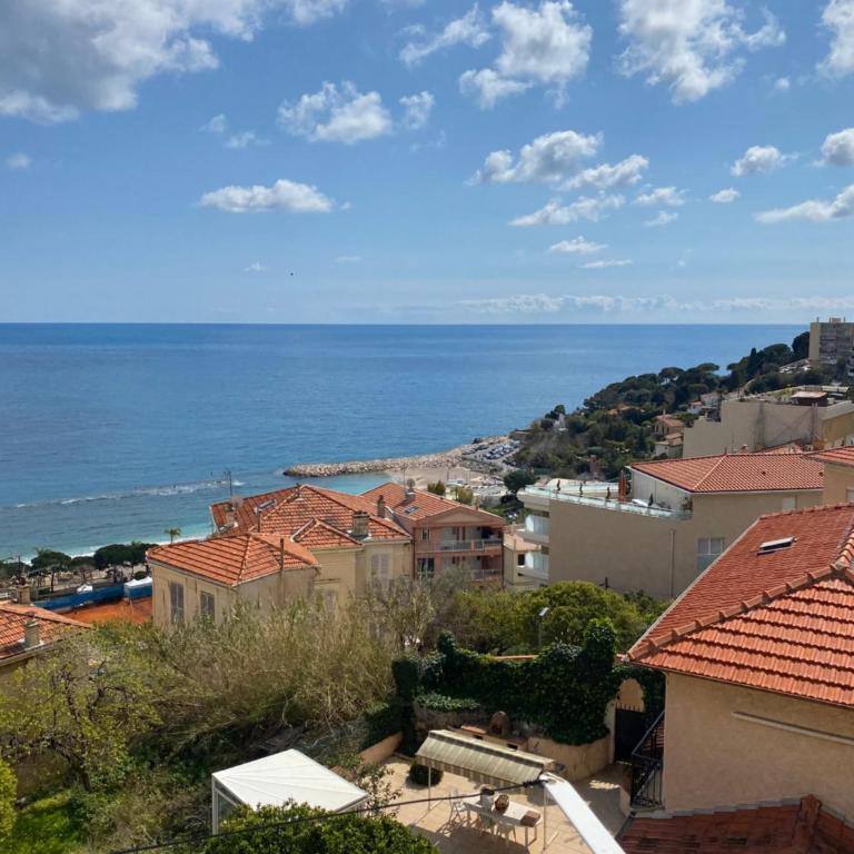 2 pièces vue mer aux portes de Monaco - Appartement - 1