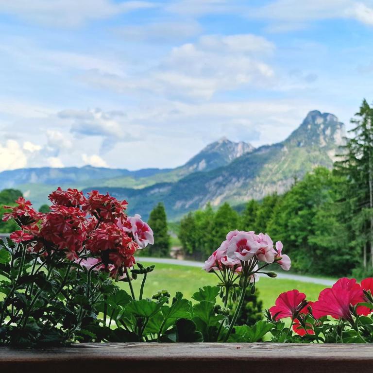Aberseehaus Nussbaumer - Apartment mit Blick auf die Berge - 7