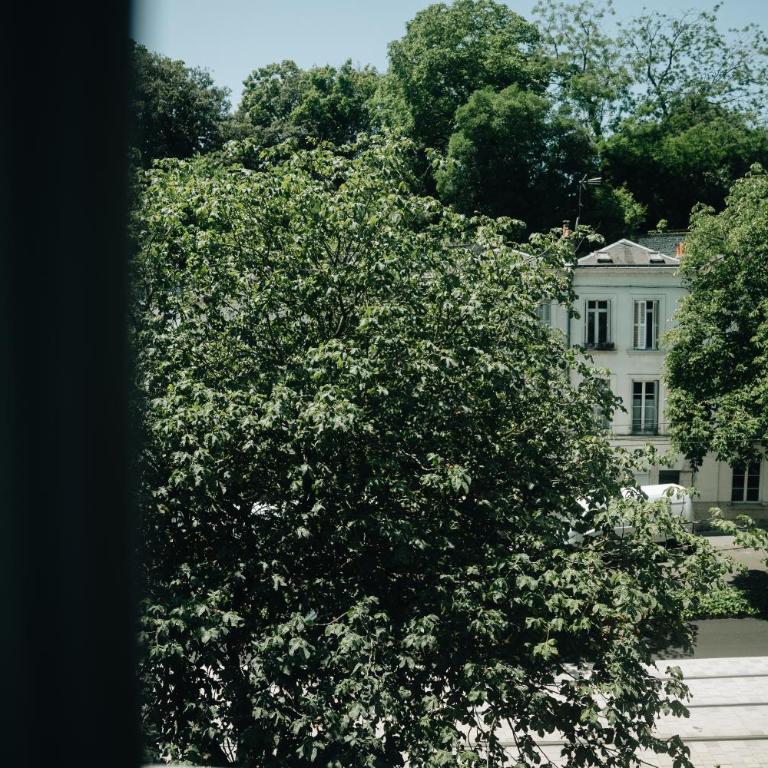 La Maison sur la Loire À deux pas du cœur de Tours - Ferienhaus - 41