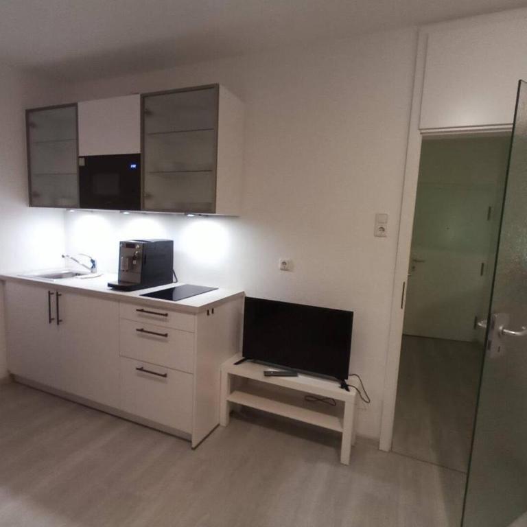Ruhiges Appartment am Stadtpark - Appartement 1 Chambre - 5