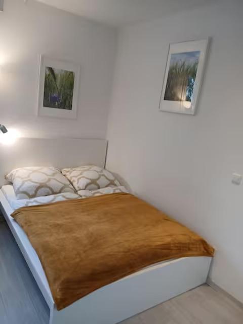 Ruhiges Appartment am Stadtpark - Appartement 1 Chambre - 6