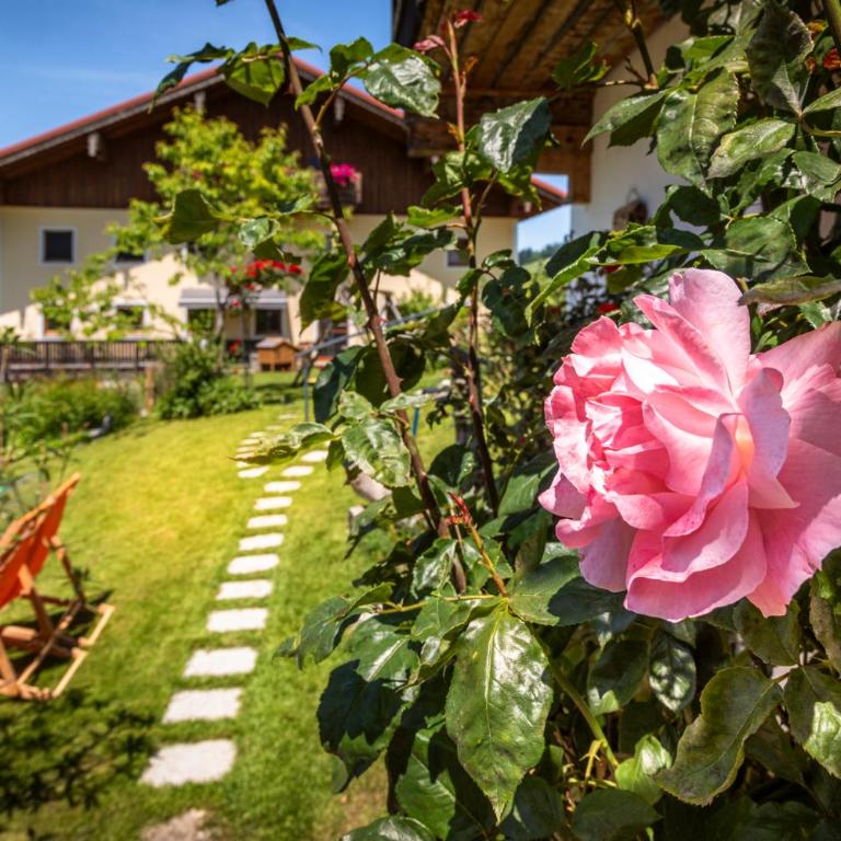 Ferienhaus Oberpremgut - Maison 2 Chambres - 7