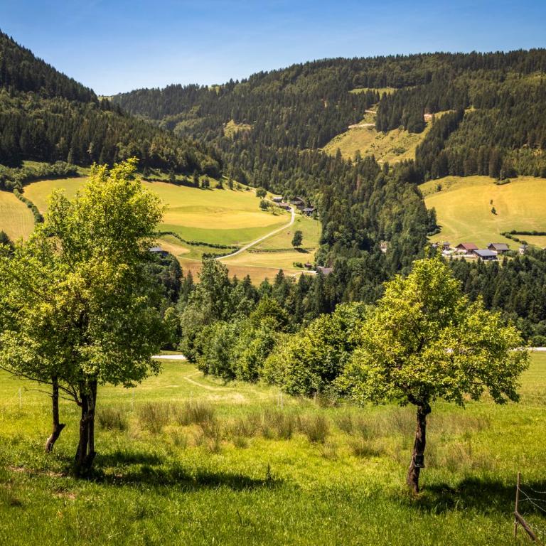 Ferienhaus Oberpremgut - Maison 2 Chambres - 15