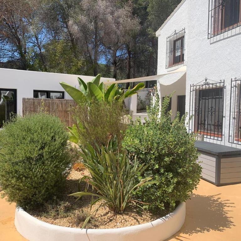 Casa El Jardin - Apartamento de 1 dormitorio - 11