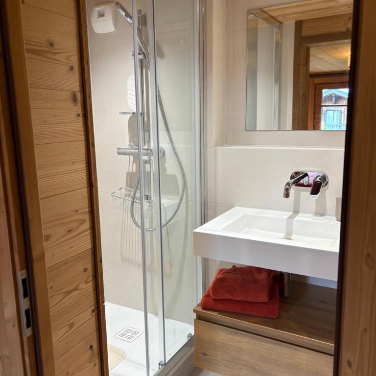 Chalet Saint François, appartement privatif pour 4 personnes à Montriond, entre Lac & Ski ! - Appartement 2 Chambres - 11