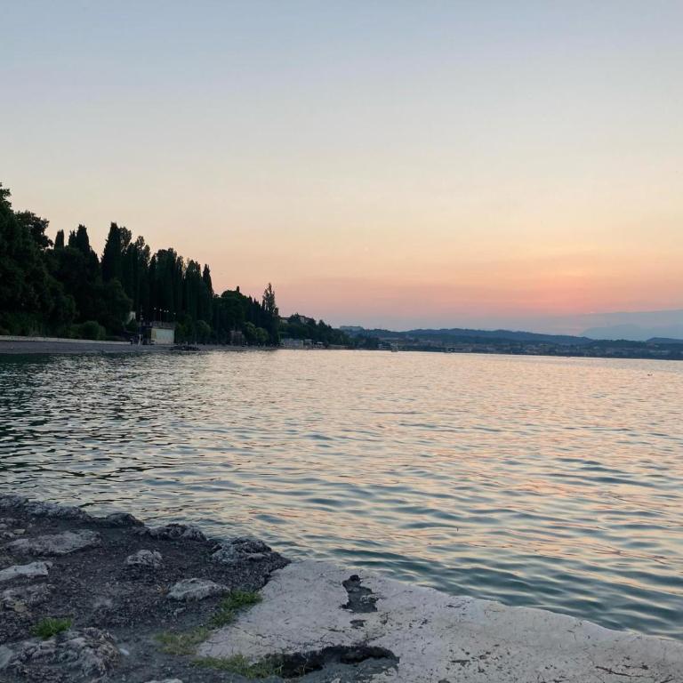 Garda Fiordaliso vista lago 4 posti letto - Appartamento con 1 Camera da Letto - 39