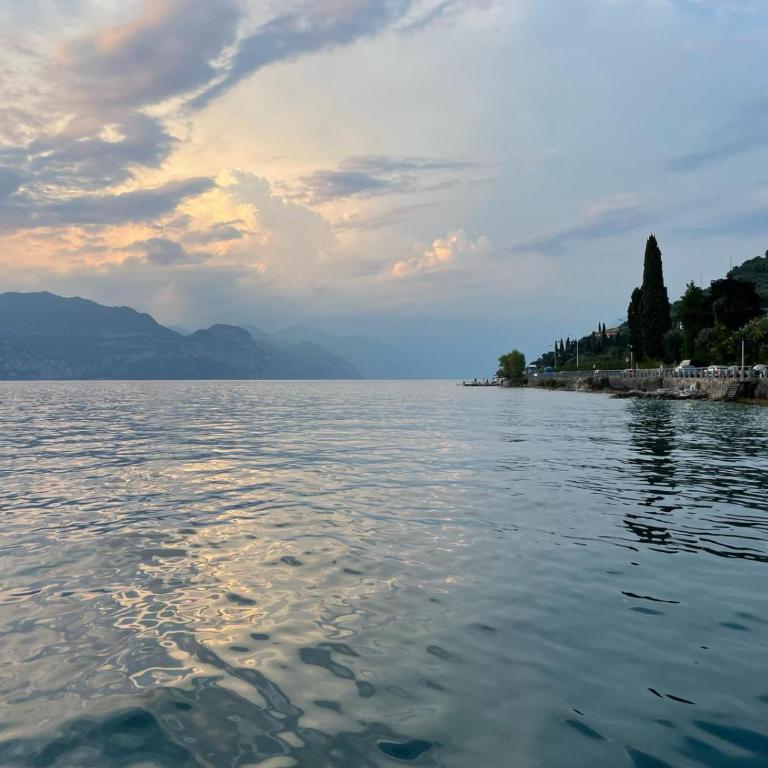 Garda Fiordaliso vista lago 4 posti letto - Appartamento con 1 Camera da Letto - 75