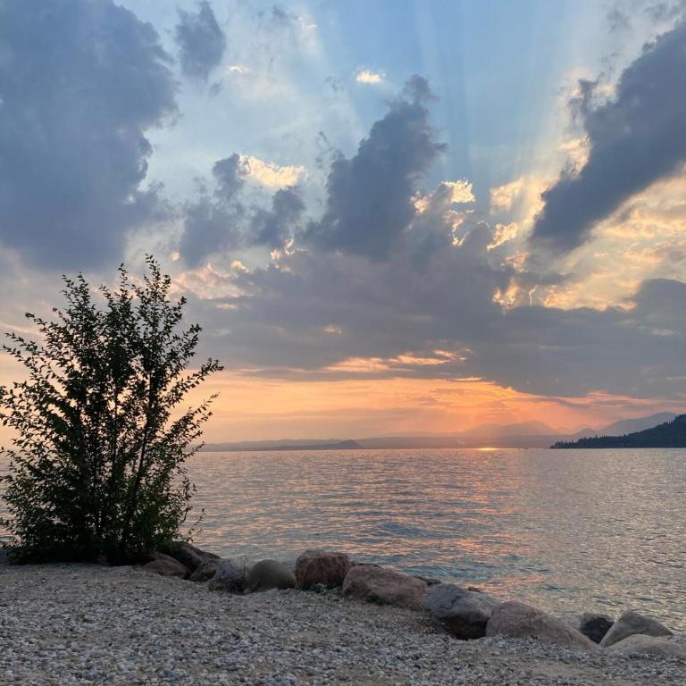 Garda Fiordaliso vista lago 4 posti letto - Appartamento con 1 Camera da Letto - 80