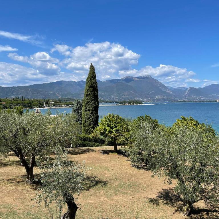 Garda Fiordaliso vista lago 4 posti letto - Appartamento con 1 Camera da Letto - 86