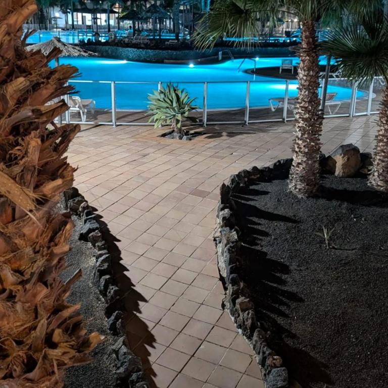 DUNAS III by Sea You There Fuerteventura - Apartamento con vistas al jardín - 39