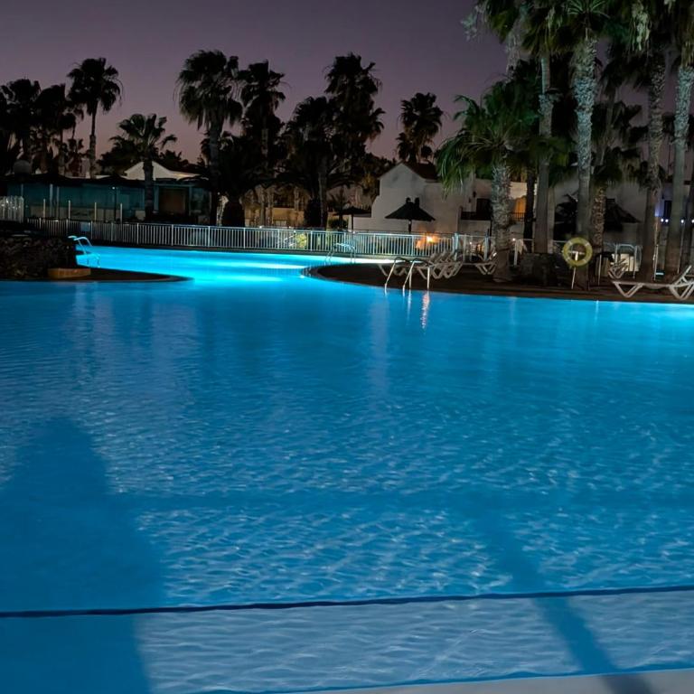 DUNAS III by Sea You There Fuerteventura - Apartamento con vistas al jardín - 37