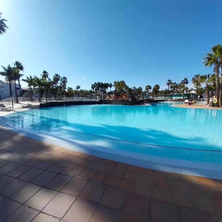 DUNAS III by Sea You There Fuerteventura - Apartamento con vistas al jardín - 41