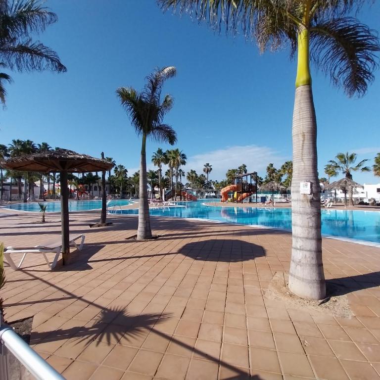 DUNAS III by Sea You There Fuerteventura - Apartamento con vistas al jardín - 44