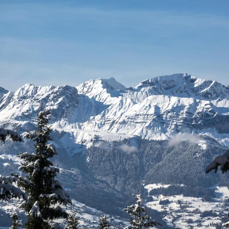 Chalet F'net chalet de charme stylish cosy insolite - Chalet 2 Chambres - 10