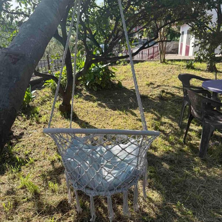 Stan na dan, Igalo - Apartman sa 1 Spavaćom Sobom - 36