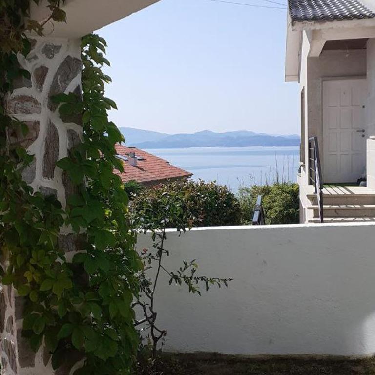 La Cruz del Sur - "CIES" - Estudio - 1