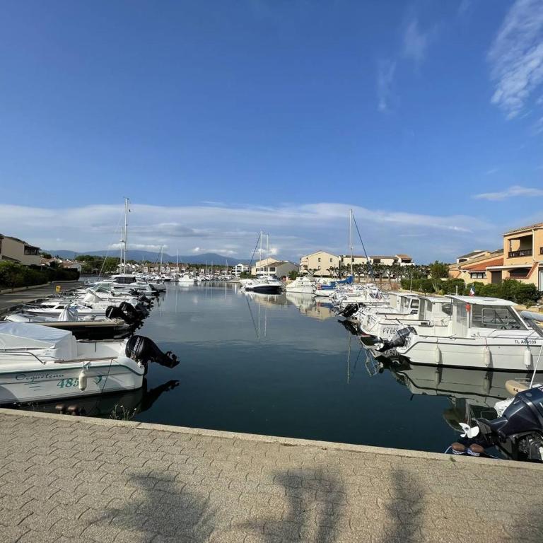 Charmant Pavillon Familial avec Terrasse et Mezzanine - Proche Plage - Saint-Cyprien Plage - FR-1-106-86 - Villa - 15