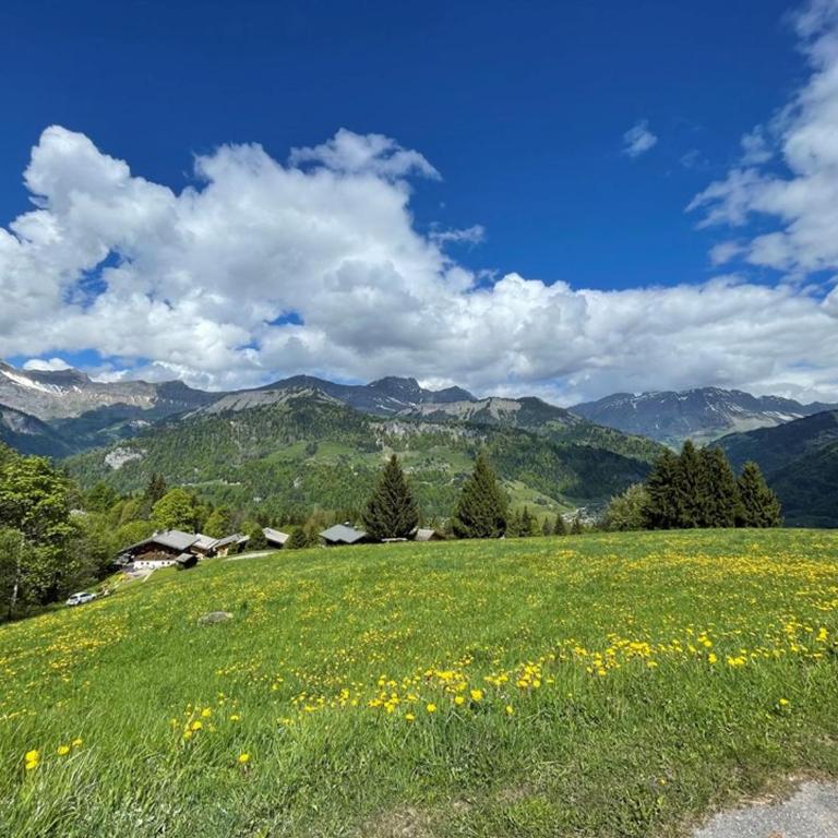 Appartement cosy 6 pers, 50m², proche pistes, 2 SDB, cuisine équipée, calme, non-fumeurs - Two-Bedroom Apartment - 5