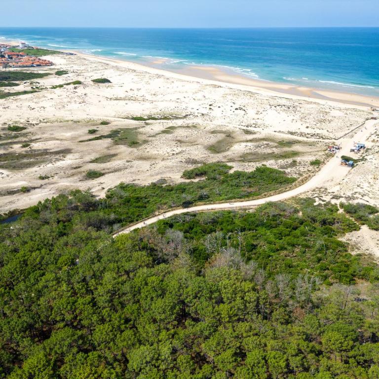 Villa Calme entre Océan et Lac - 8 Pers - 4 Ch - Terrasse - BBQ - Jardin - Biscarrosse Plage - FR-1-319-418 - Villa (8 Adultes) - 17