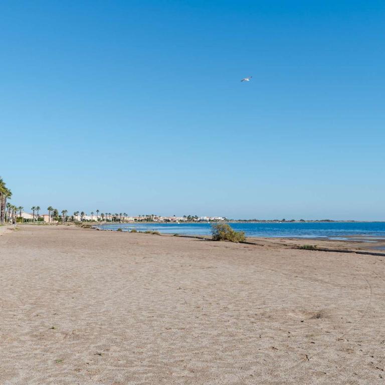 Pavillon 3 pièces avec Terrasse à Gruissan - 4 Couchages, Animaux Admis, Parking Privé - FR-1-409-31 - Villa - 19