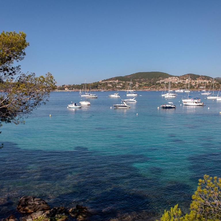 Studio Moderne à Saint-Raphaël Proche Plage et Commerces - FR-1-466A-50 - Studio - 9