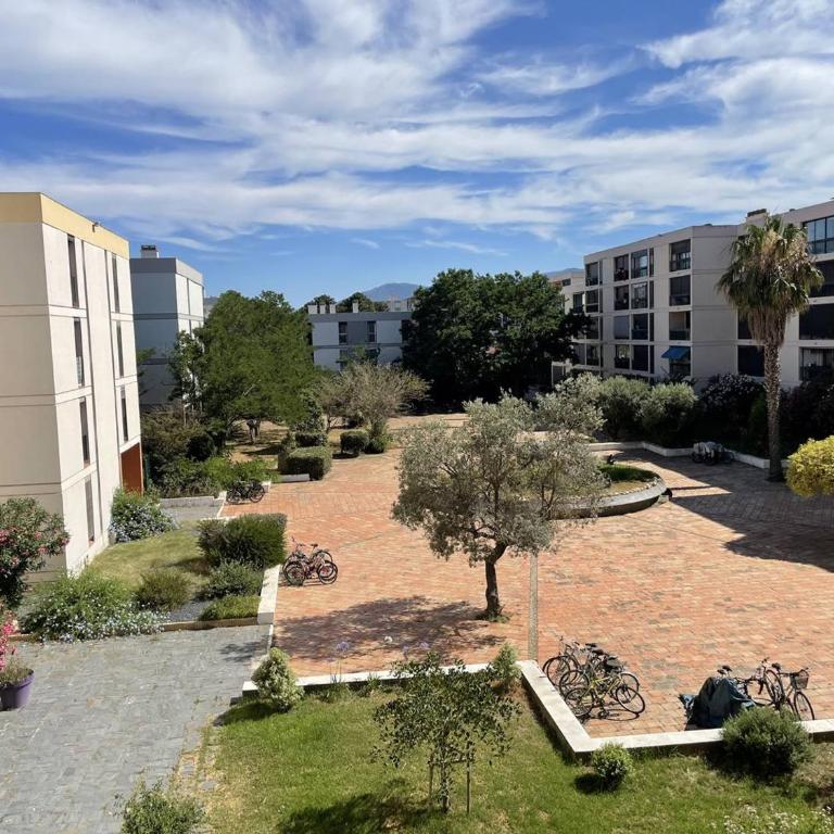 Charmant T2 rénové, 4 couchages, proche plage et port, balcon, parking sécurisé, St-Cyprien - FR-1-106-55 - Apartment - 10