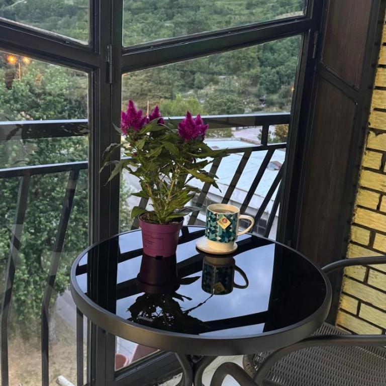 Skyflat Dobrinja by S&A - Deluks Apartman sa 1 Spavaćom Sobom - 27